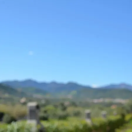 Fta-bel01apt 6 Pax Vicino Al Mare